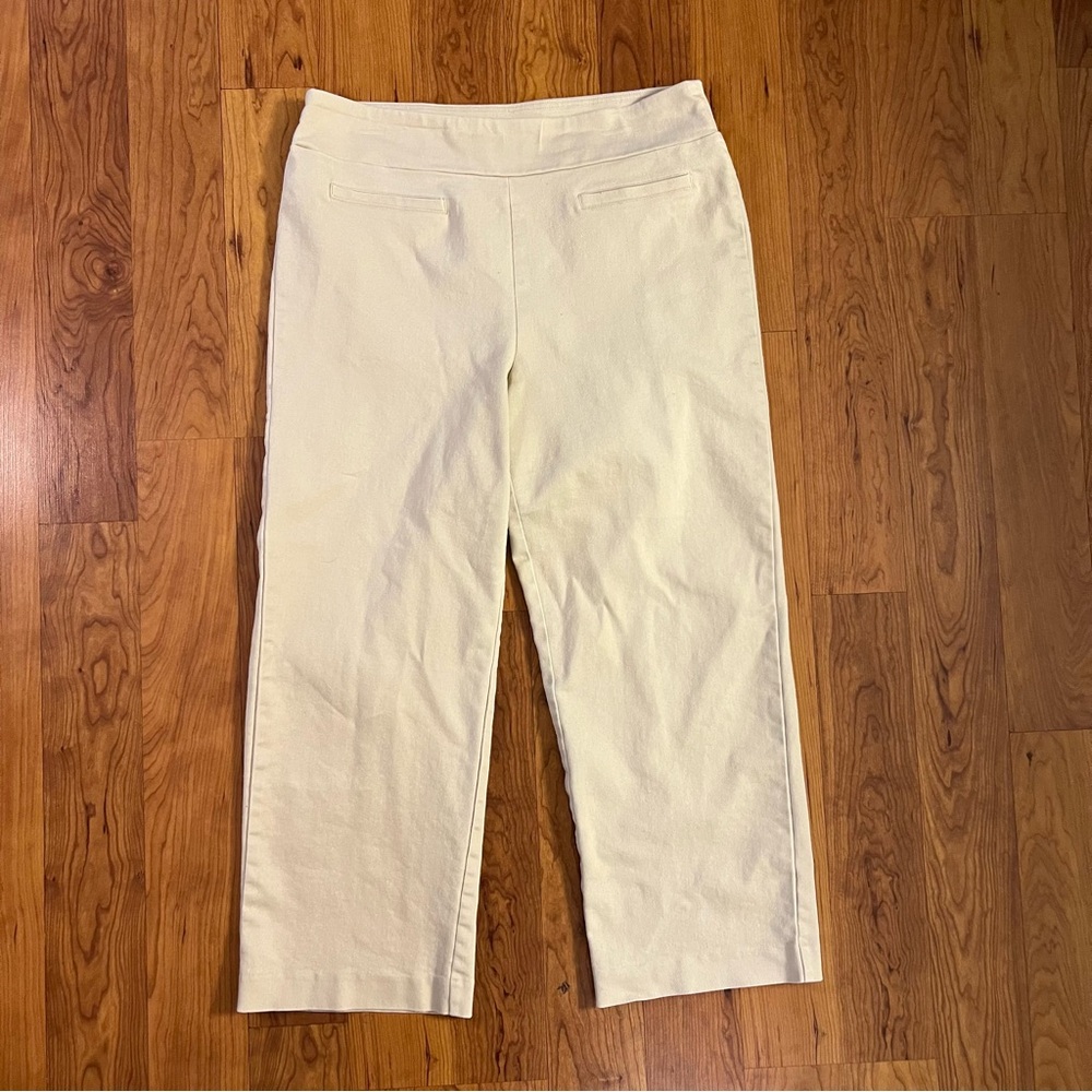 Wonderly Size 14 Tan Pull-On Wide Leg Pants, EUC